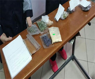 مطالعات اجتماعی